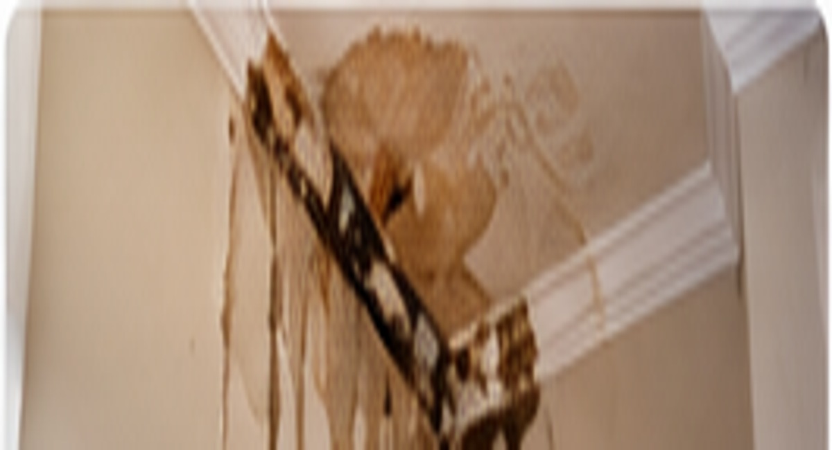 Interior Wall & Ceiling Leak Detection in DeSoto, Texas